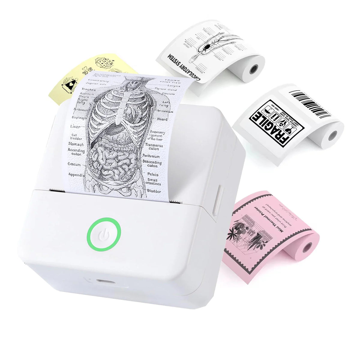 AI voice-to-image mini printer / educational toy